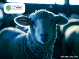 Pós-graduação em Ciência Animal realiza 1º Simpósio em novembro