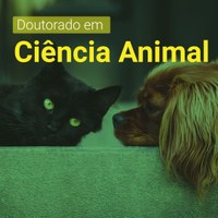 Ufal abre pela primeira vez, edital para curso de doutorado em Ciência Animal