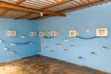Documentário marca os quatro anos do Programa de Apoio aos Animais