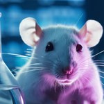 Ufal promove evento sobre o uso de animais em experimentação científica