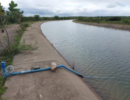 Estudo mapeia solo e traça plano de manejo para águas do Canal do Sertão