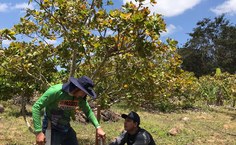 Estudo mapeia solo e traça plano de manejo para águas do Canal do Sertão