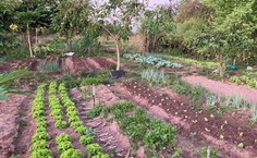 Estudo mapeia solo e traça plano de manejo para águas do Canal do Sertão
