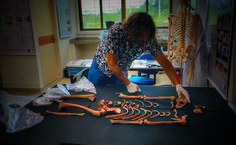 Núcleo no Sertão atua na preservação do patrimônio arqueológico de Alagoas