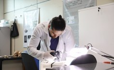 Núcleo no Sertão atua na preservação do patrimônio arqueológico de Alagoas