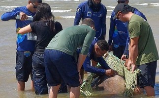 Ufal participa de resgate a peixe ameaçado de extinção no litoral de Sergipe