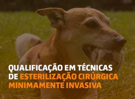 Ministério do Meio Ambiente lança curso com a Ufal para atender cinco mil veterinários