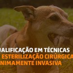 Ministério do Meio Ambiente lança curso com a Ufal para atender cinco mil veterinários