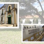 Museu de História Natural participa da Primavera dos Museus