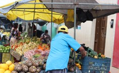 Curta-metragem Feira de Ibateguara será exibido no Circularte