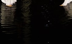 Apresentação do espetáculo de dança "24"