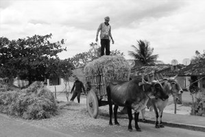 Mostra Interiores: exposição apresenta fotos do sertão alagoano