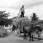 Mostra Interiores: exposição apresenta fotos do sertão alagoano