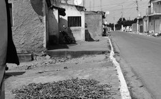 Povoado Pedrão, Olho dÁgua das Flores, Alagoas Foto: Paulo Marcondes