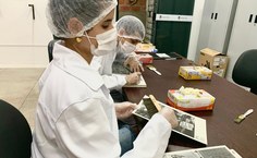 Treinamento dirigido aos bolsistas da Pina