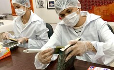 Treinamento dirigido aos bolsistas da Pina