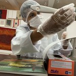 Pinacoteca Universitária realiza tratamento preventivo de seu acervo