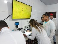 Professora Ana Paula acompanha movimentos do ácaro vermelho pelo microscópio