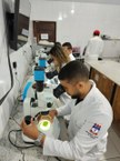 Professora Ana Paula, no laboratório, com seus alunos que fazem parte da pesquisa que busca o controle biológico do ácaro vermelho