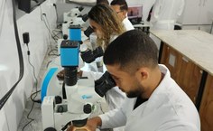 Professora Ana Paula, no laboratório, com seus alunos que fazem parte da pesquisa que busca o controle biológico do ácaro vermelho