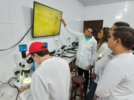 Estudo pioneiro em Alagoas busca controle biológico do ácaro vermelho das palmeiras Estudo pioneiro em Alagoas busca controle biológico do ácaro vermelho das palmeiras