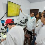Estudo pioneiro em Alagoas busca controle biológico do ácaro vermelho das palmeiras