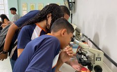 Estudantes durante atividade na Usina Ciência da Ufal