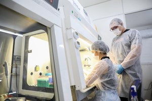 Ufal amplia pesquisa para desenvolver novos fármacos e conseguir a cura da ELA