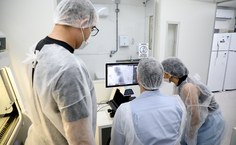 Pesquisadores do Laif trabalham com células derivadas dos pacientes da ELA, adquiridas em biobancos