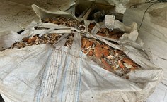 Empreendedorismo feminino transforma realidade de pescadoras e artesãs com sustentabilidade, arte e união no interior de Alagoas