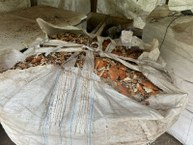 Empreendedorismo feminino transforma realidade de pescadoras e artesãs com sustentabilidade, arte e união no interior de Alagoas
