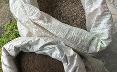 Empreendedorismo feminino transforma realidade de pescadoras e artesãs com sustentabilidade, arte e união no interior de Alagoas