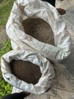 Empreendedorismo feminino transforma realidade de pescadoras e artesãs com sustentabilidade, arte e união no interior de Alagoas