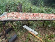 Empreendedorismo feminino transforma realidade de pescadoras e artesãs com sustentabilidade, arte e união no interior de Alagoas