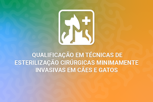 Inscrições abertas para curso de qualificação em esterilização de cães e gatos