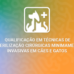 Inscrições abertas para curso de qualificação em esterilização de cães e gatos