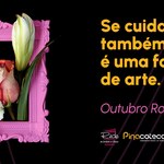 Outubro Rosa: Pinacoteca promove ação sobre arte, corpo e saúde da mulher