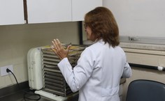 Baixa no número de doadores e aumento de emergências afetam todos os tipos sanguíneos, com maior impacto nos tipos negativos