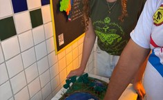 Exposição itinerante sobre anfíbios chega à Biblioteca Central em abril