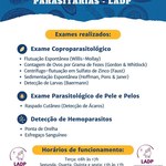 Laboratório de doenças parasitárias amplia acesso a diagnósticos gratuitos