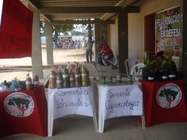 MST reúne 550 militantes na Ufal