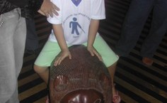 Crianças com deficiência visual visitam museu