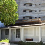 Construção traz riscos para o Museu de História Natural