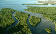 Complexo Mundaú-Manguaba