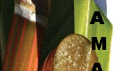 Logomarca do Projeto Polcamar