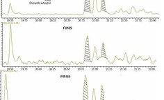 Hidrocarbonetos policíclicos aromáticos nitrogenados (HPAN)