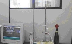 Olfatômetro de 4 escolhas