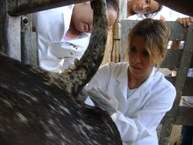 Aula de campo na Fazenda São Luiz