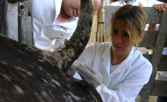 Aula de campo na Fazenda São Luiz