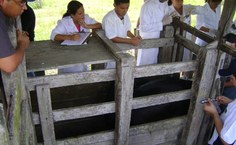 Aula de campo na Fazenda São Luiz